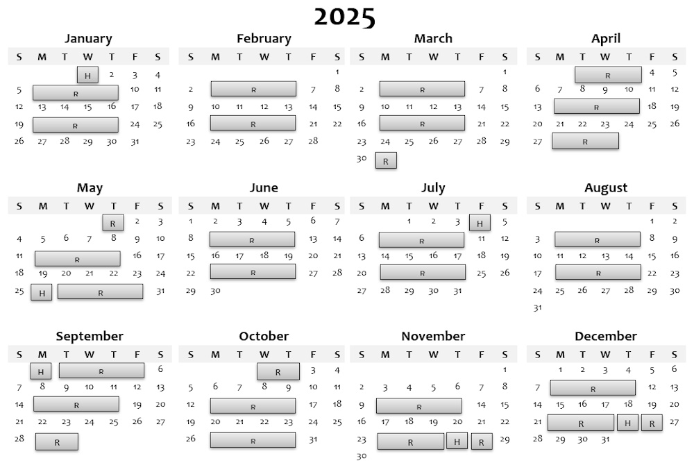 2025 Ace Garbage Yellow Recyling Calendar